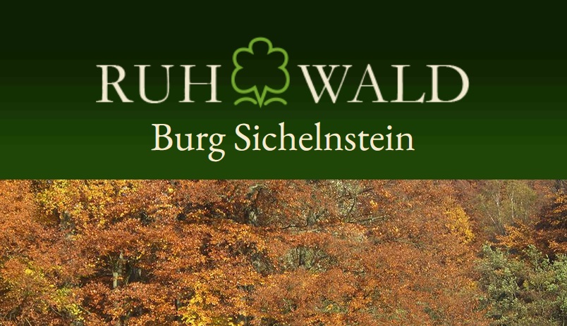 Burg-Sichelnstein